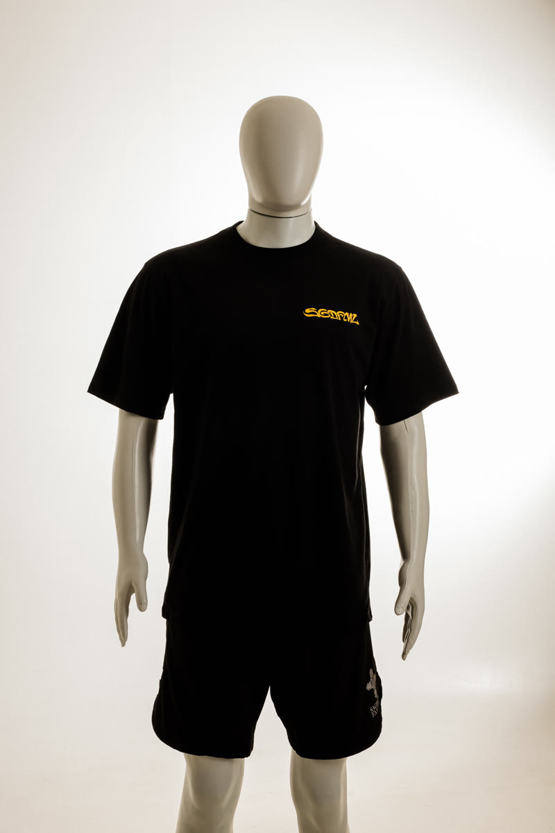 Foto 3 — Blusa Sagrada 01