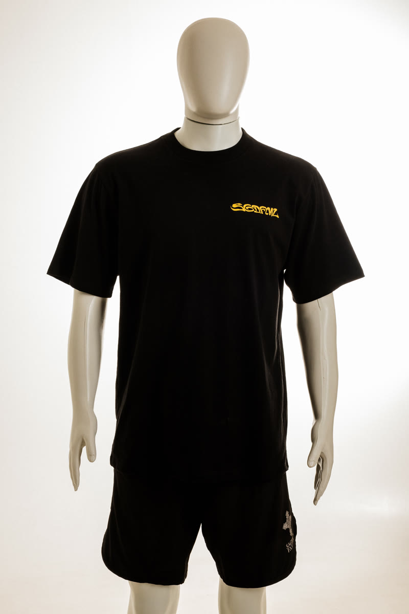 Foto 1 — Blusa Sagrada 01